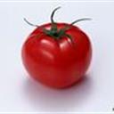 西红柿炒番茄