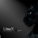 Linux&amp;C